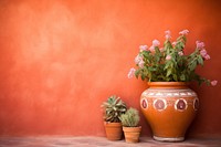Terracotta wall pottery flower plant.