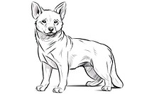 Shiba dog sketch drawing mammal.