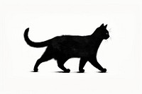 Cute cat run silhouette mammal animal.