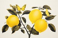 Lemon silkscreen nature fruit plant.