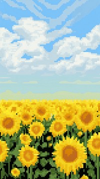 Sunflower meadow agriculture backgrounds landscape.