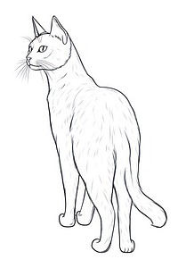 Cat standing sketch drawing animal.