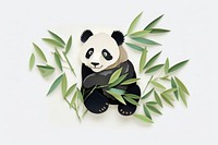 Panda eating bamboo wildlife mammal plant.