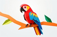 Parrot animal nature bird.