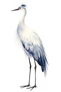 Cute watercolor illustration of a crane animal heron stork.