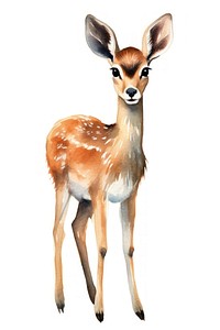 Cute watercolor illustration of a gazelle wildlife animal mammal.