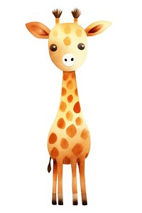 Cute watercolor illustration of a giraffe wildlife animal mammal.