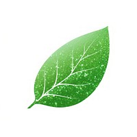 Green leaf icon plant white background branch.