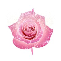 Pink rose icon flower petal plant.