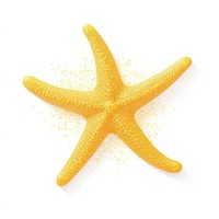 Yellow starfish icon shape white background invertebrate.
