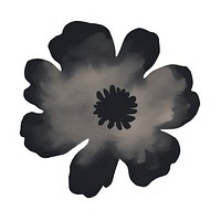 Flower petal black white background.