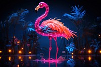 Flamingo animal bird illuminated.