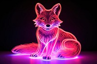Fox light neon purple.