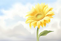 Painting of sunflower with brighten day plant inflorescence springtime.