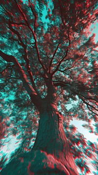 Anaglyph big tree outdoors nature forest.