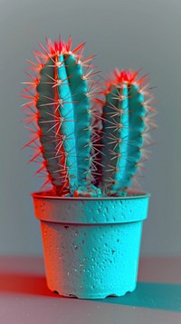 Anaglyph cactus pot plant red houseplant.