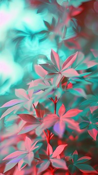 Anaglyph leaves outdoors pattern nature.