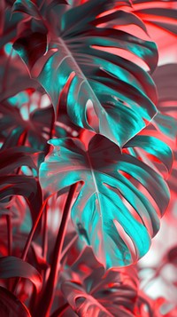 Anaglyph monstera leaves plant leaf red.