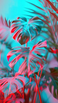 Anaglyph monstera leaves plant leaf red.