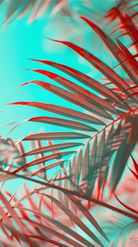 Anaglyph palm leaf outdoors pattern nature.
