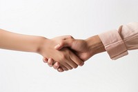 Holding hands handshake white background togetherness.