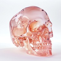 Rose gold translucent surface skull jewelry accessories accessory.