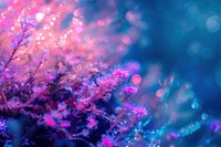 Bioluminescence coral reef backgrounds outdoors glitter.