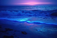 Bioluminescence ocean outdoors horizon nature.