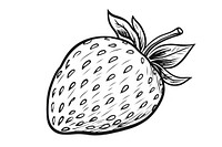 Strawberry sketch fruit plant.