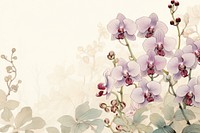 Orchid flower backgrounds blossom.