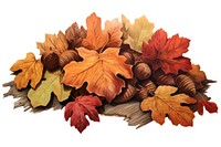 A pile of Autumn leaves autumn plant leaf.