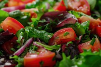 Healthy vegan salad vegetable arugula plant.