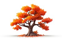 An Autumn tree autumn plant maple.