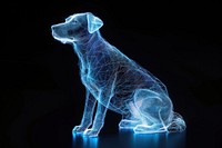 Futuristic glowing dog black background.