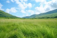 Grass field grass land vegetation.