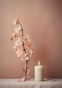 Flower candle plant pink.