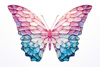 A colorful butterfly frame art insect white background.