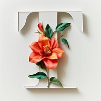 Letter T font flower plant paper.