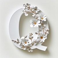 Letter Q font flower plant white.