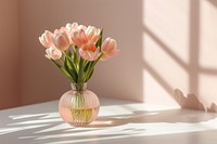 Flower tulip plant vase.