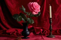 Hot pink rose in tall black vase with candlestick and gold rings flower plant red.
