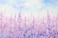 Orchid field backgrounds landscape lavender.