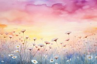 Sunset sky daisy meadow backgrounds outdoors painting.