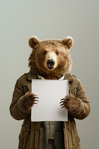 Animal bear photography wildlife.