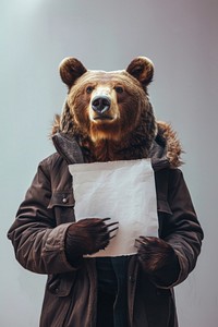 Animal bear portrait holding.