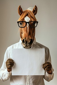 Horse wearing casual attire portrait animal horse.