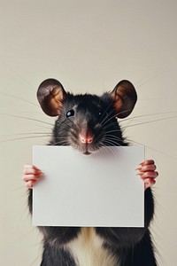 Animal portrait mammal rodent.