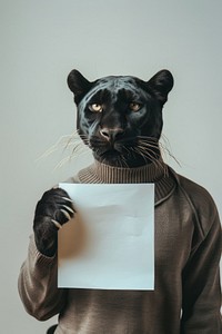 Animal portrait panther mammal.