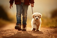 Boy walking a dog mammal animal pet.