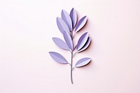 Plant lilac paper leaf.